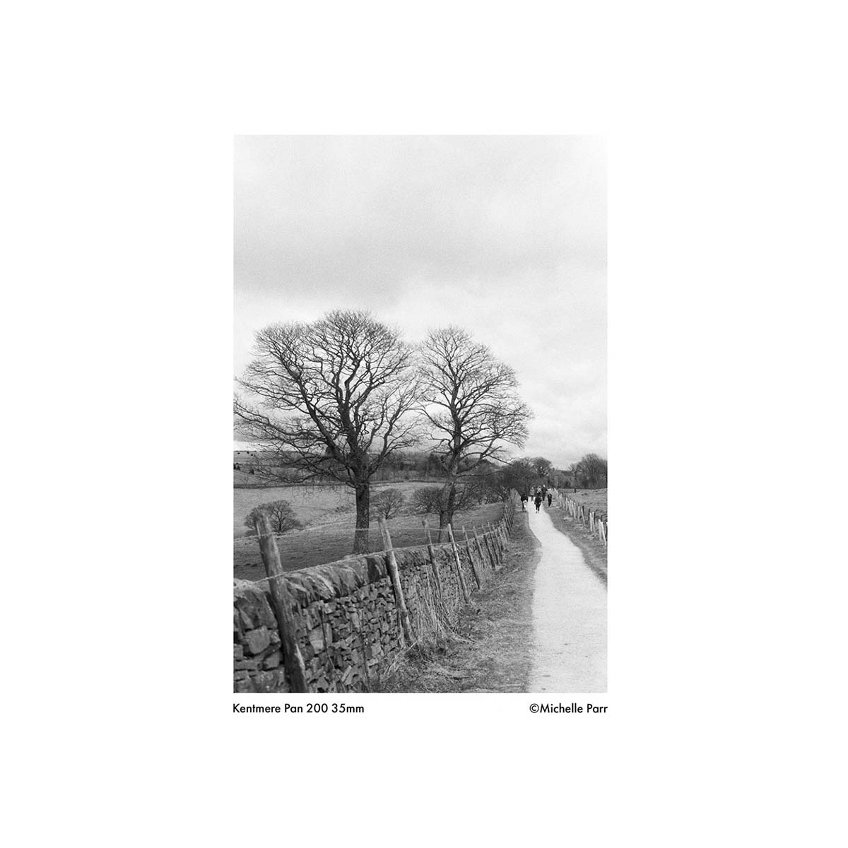 Black and white landscape shot on Kentmere Pan 200 film featuring a stone wall, bare trees, and a path in the countryside.