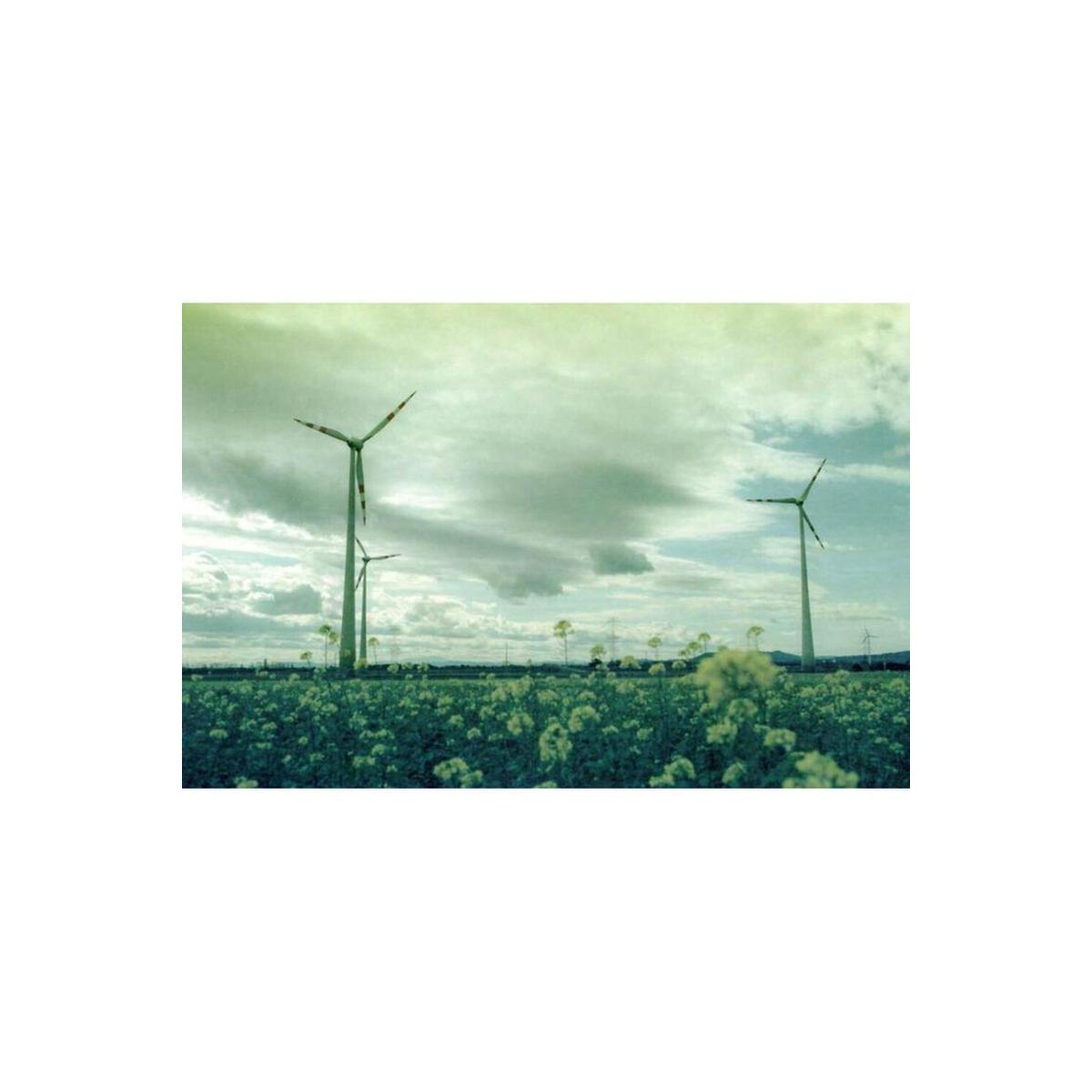 Wind turbines in a field under a moody, cool-toned sky captured on KONO! Monsoon 200 35mm color negative film.