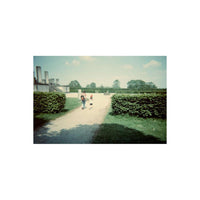 Two people walk down a garden path in this 35mm film shot featuring deep, cool tones and moody, experimental colors.