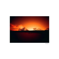 Landscape shot with vibrant red and orange sky tones, featuring silhouetted trees against a glowing horizon.