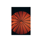 Abstract architectural detail shot with vibrant red and orange tones captured on KONO! Rotwild No. 2 redscale film.