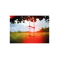 Rope ladder hanging from a tree in a grassy field with warm, glowing red light leak effects.