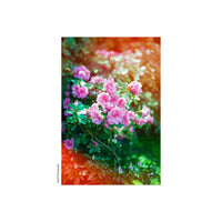 Pink azalea flowers captured on 35mm film with warm, glowing light leak effects and a vintage, experimental aesthetic.