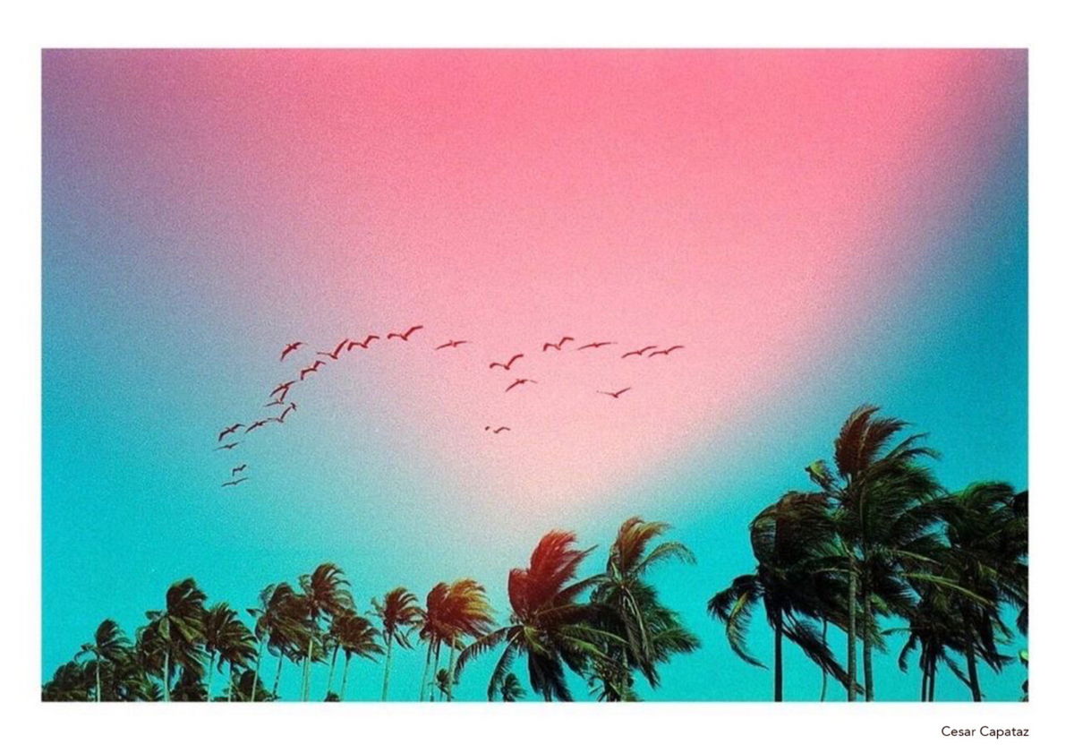 KONO! ORIGINAL SUNSTROKE 200 Color Negative Film (35mm Roll Film, 36 Exposures)