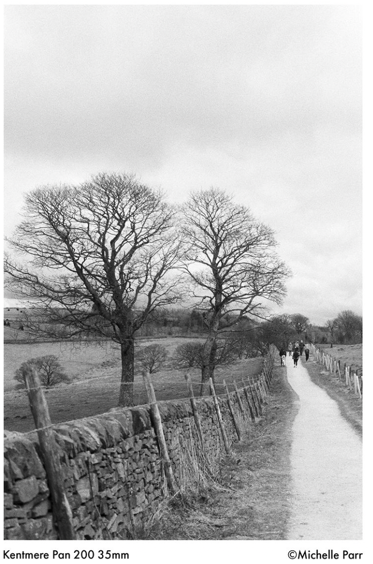 Kentmere PAN 200 BW Film (35mm Roll Film, 36 Exposures)