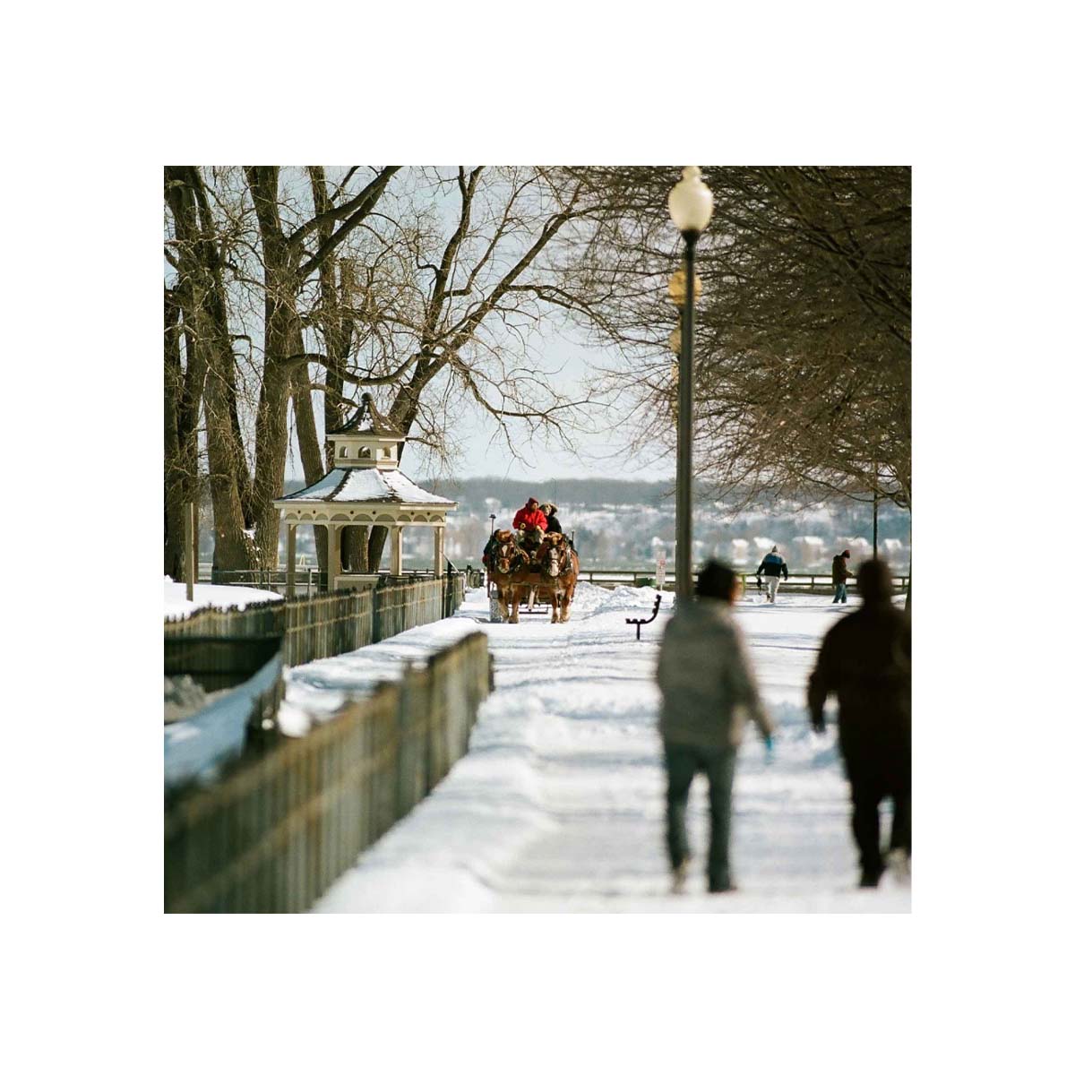 Kodak Portra 160 ISO, Color 35mm Film, 36 exp