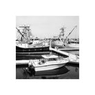 Black and white photograph print of a harbor scene with several boats docked at a marina, shown centered on a white background.