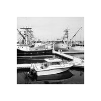 Black and white photograph print of a harbor scene with several boats docked at a marina, shown centered on a white background.