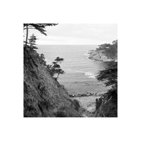 Eastman Kodak Ektapan 400 Black & White 35mm Film, 36 exp