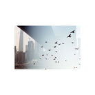 Birds flying over a hazy New York City skyline captured on Kodak Portra 400 120 film with natural tones and fine grain.