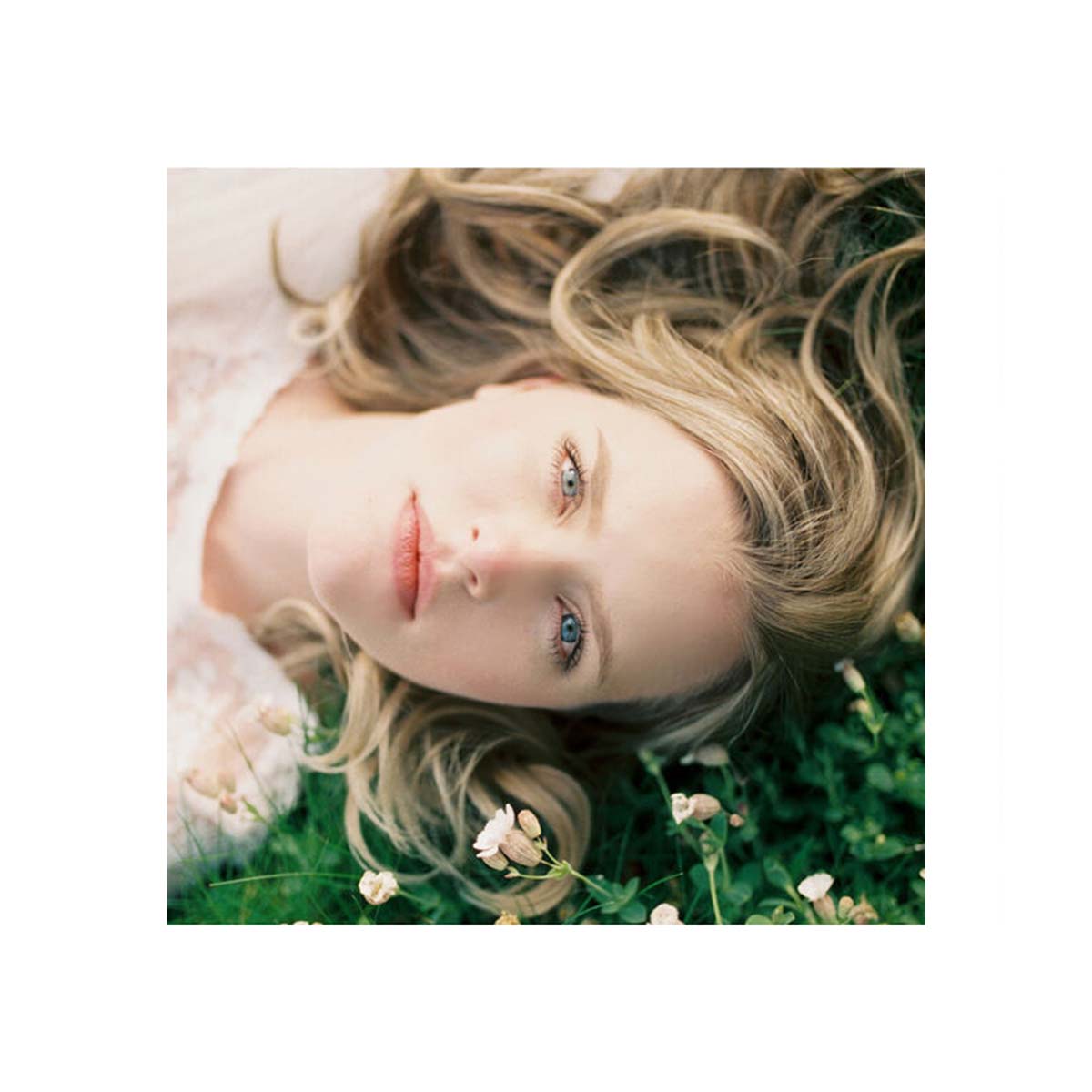 Kodak Portra 800 ISO, Color 35mm Film, 36 exp