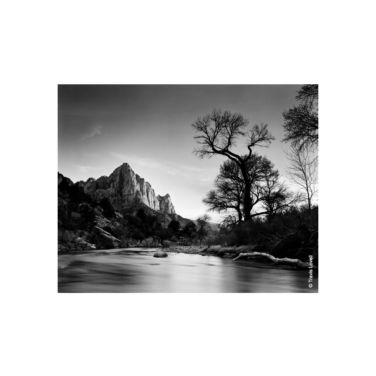 Kodak TMAX 100 ISO, B&W 4x5 Film, 10 exp