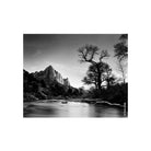 Black and white landscape photograph of a river, bare trees, and mountain peaks captured on Kodak TMAX 100 4x5 film.