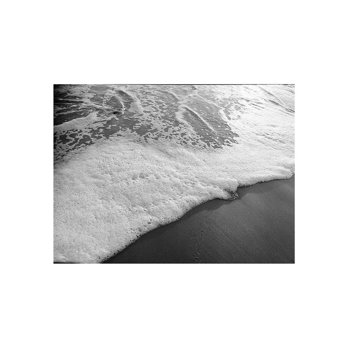 Kodak Tri-X 400 ISO, B&W 35mm Film, 24 exp