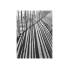 High-contrast black and white photograph of a wooden fence casting long, dramatic shadows across rippled beach sand.