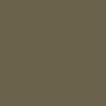 Olive Color of Kodak Camera Strap
