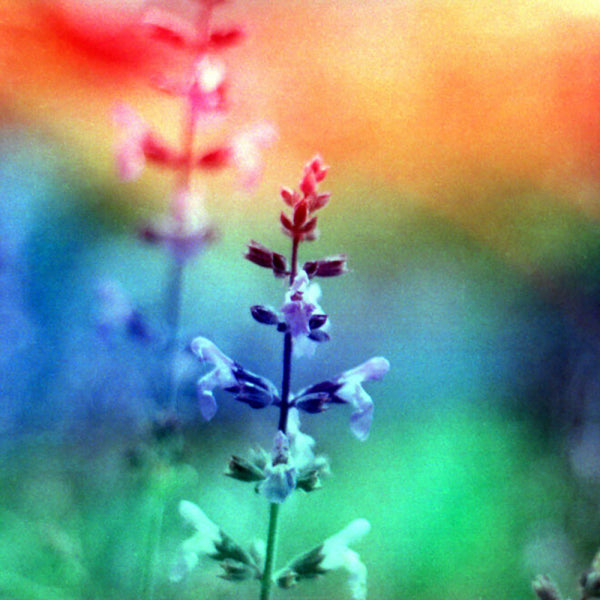 KONO ORIGINAL GALAXY 200 Color Negative Film