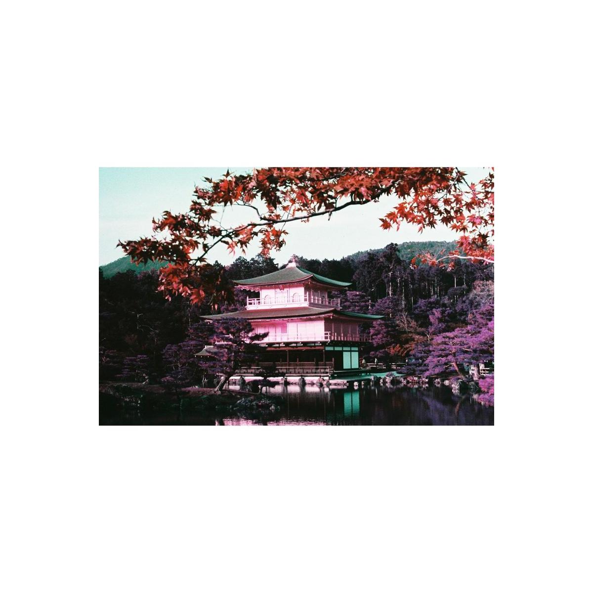 Kinkaku-ji temple captured on LomoChrome Purple film with vibrant violet, plum, and earthy red color shifts.