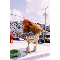 Rooster in a sweater and bow tie on a snowy street with graffiti in the background