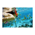 Snorkeler swimming in bright blue tropical water surrounded by a school of colorful yellow and black striped fish.