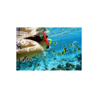 Snorkeler swimming in bright blue tropical water surrounded by a school of colorful yellow and black striped fish.