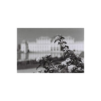 Black and white 35mm film sample showing sharp floral detail with a soft-focus architectural background.