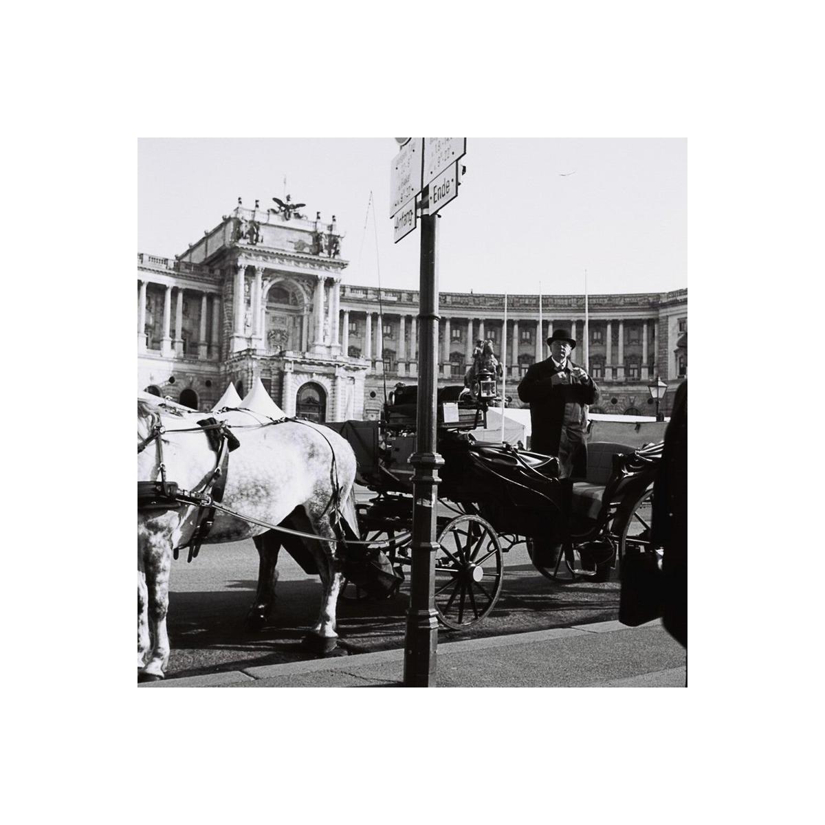 Horse-drawn carriage in front of a large building with classical architecture.