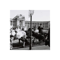 Horse-drawn carriage in front of a large building with classical architecture.