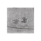 Black and white film shot of two handprints pressed into concrete, showing medium grain and sharp detail.