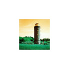 Lighthouse landscape shot with LomoChrome Turquoise film, featuring vibrant emerald grass and a golden sky.