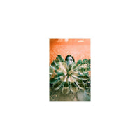 Portrait of a person behind a large agave plant with turquoise, emerald, and gold color-shifting film effects.