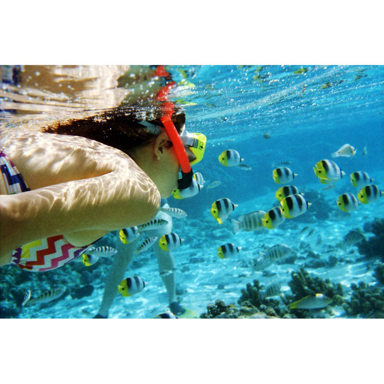 A person snorkeling underwater in clear blue ocean water, wearing a yellow and red mask with a snorkel, surrounded by small tropical fish and coral reef.