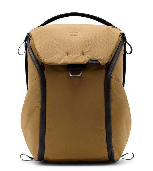 Everyday Backpack 20L v2