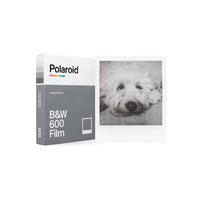 Polaroid B&W 600 film box next to a monochrome instant photo of a dog in a classic white frame.