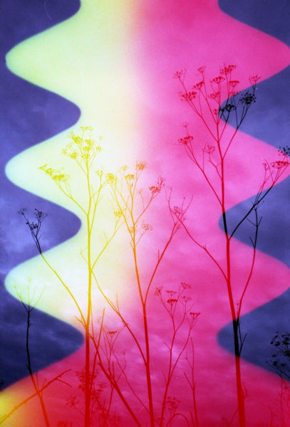 Psychedelic Blues #7 35mm x 36 exp. - Color Negative Film