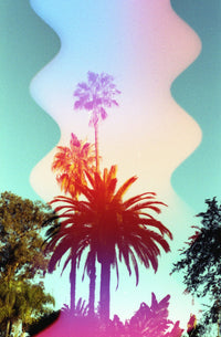 Psychedelic Blues #7 400iso 35mm x 36 exp. - Color Negative Film
