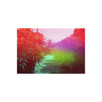 Outdoor landscape shot on 35mm film with red, orange, and blue-green holographic light leak effects on the edges.