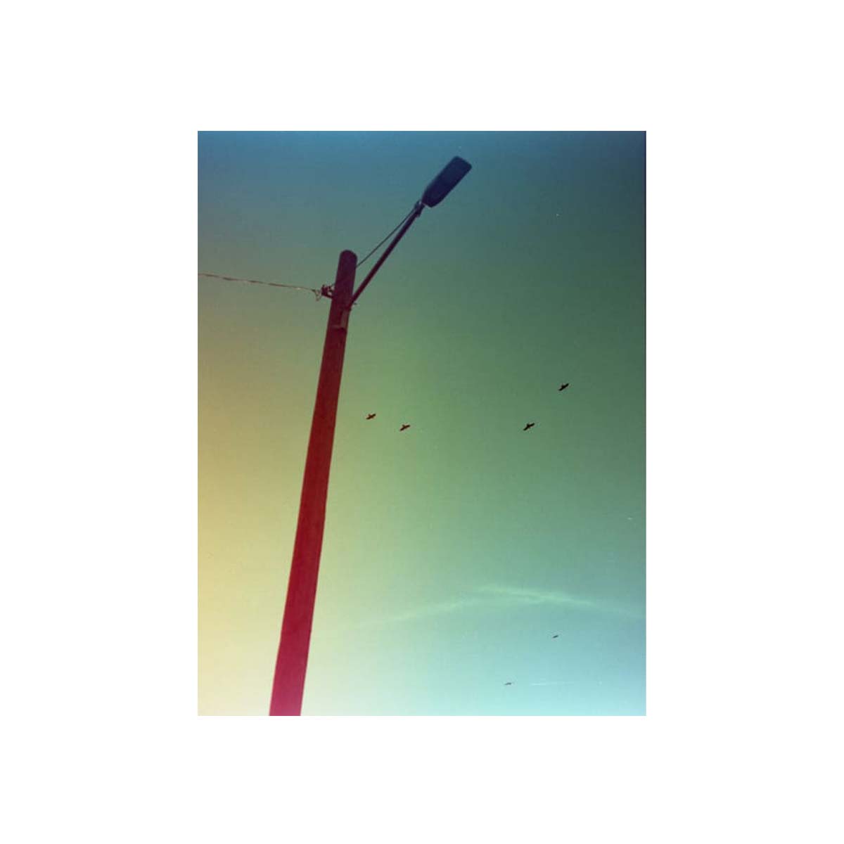 A low-angle photograph of a street light pole against a gradient sky, with birds flying in the background.