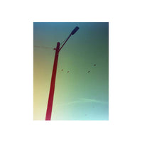 A low-angle photograph of a street light pole against a gradient sky, with birds flying in the background.