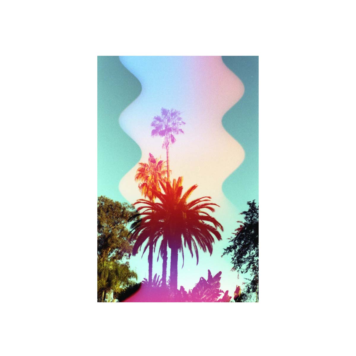 Palm trees against a blue sky with a vertical, multi-colored wavy light leak effect from Psychedelic Blues 35mm film.
