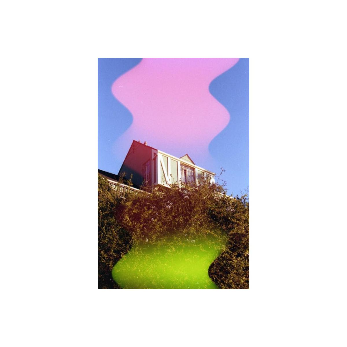 Psychedelic Blues #7 35mm film shot of a house behind trees with pink and green wave light-leak effects.
