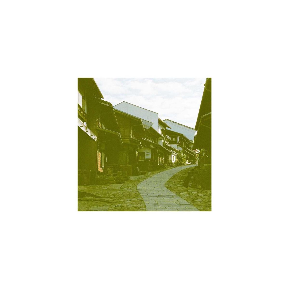 Street scene with traditional buildings and stone path, featuring the distinct green and yellow color shift of Revolog 460nm film.