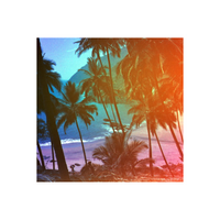 Tropical beach scene with palm trees, featuring Revolog Kolor 35mm film's signature orange, blue, and pink color gradients.