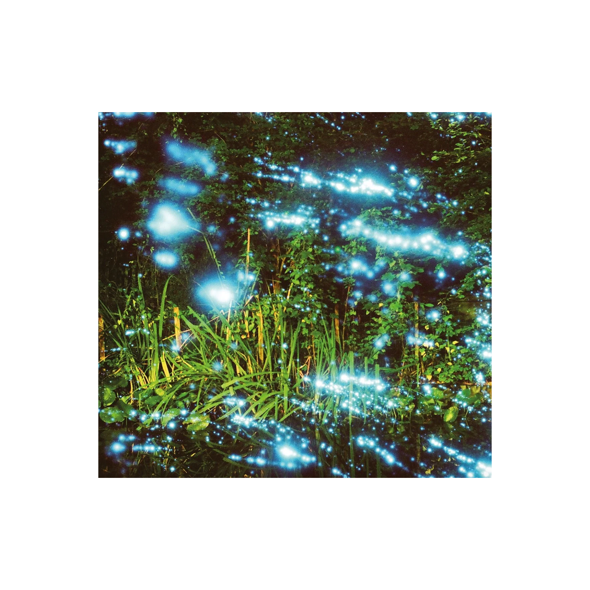 REVOLOG Kosmos 35mm film shot of lush green foliage overlaid with a surreal, glowing blue stardust galaxy effect.