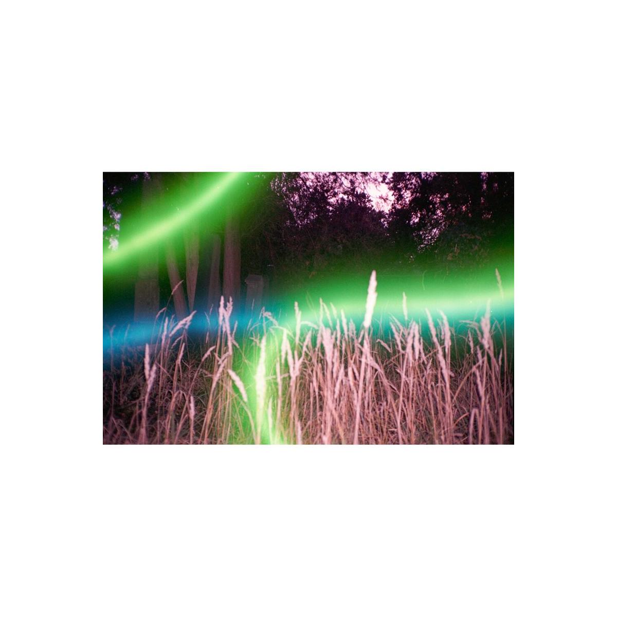 Tall grass in a dark field featuring the glowing blue and green laser light effects of Revolog 35mm color film.