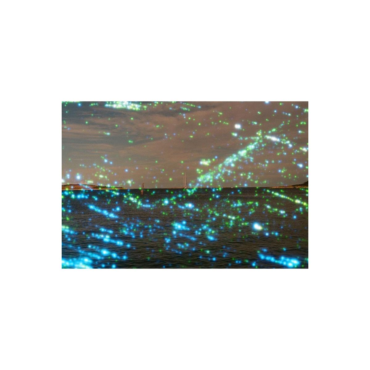 Seascape shot on Revolog Nebula 35mm film featuring blue and green stardust effects over a dark ocean and cloudy sky.