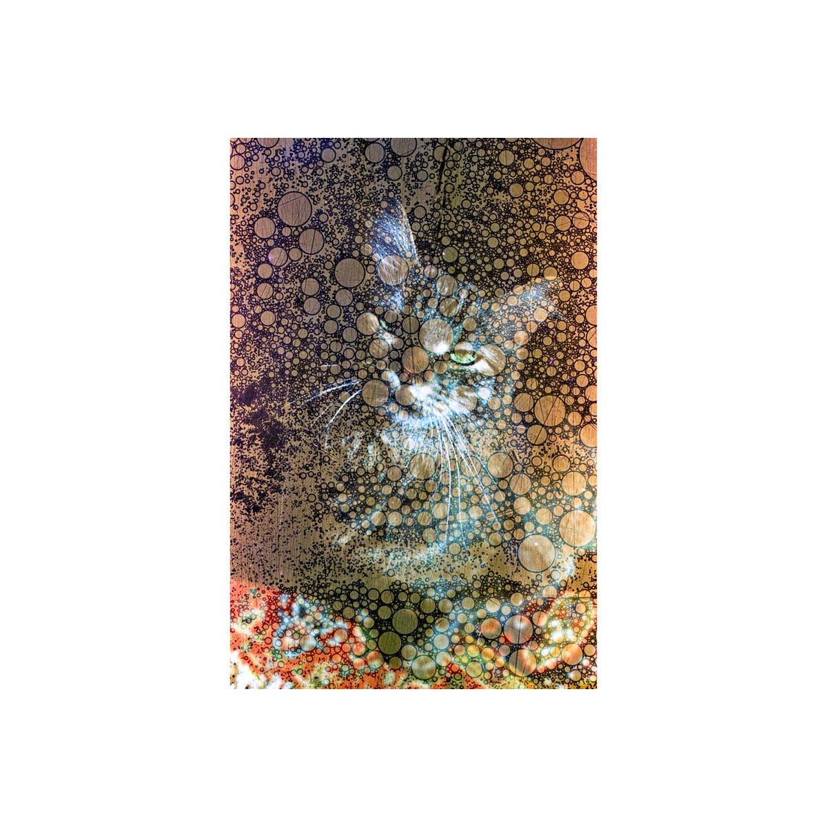 Cat portrait overlaid with Revolog Texture 200 black and white film featuring a distinct bubble-like pattern effect.