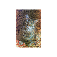 Cat portrait overlaid with Revolog Texture 200 black and white film featuring a distinct bubble-like pattern effect.