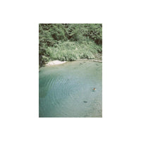 Person swimming in a clear lake surrounded by trees