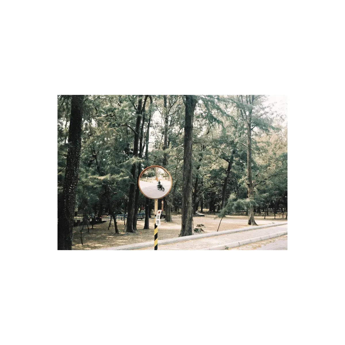 A street view in a forest reflected in a round mirror, captured with RetoColor Glow 400 film’s warm, soft vintage aesthetic.